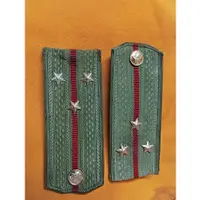 在飛比找蝦皮購物優惠-蘇聯公發 陸軍上尉常服服肩章