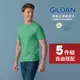 【官方直送】(超值5件組) GILDAN 吉爾登 76000 亞規柔棉中性T恤