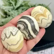 Zebra Calcite Palm Stones Worry Meditation Crystals YOU CHOOSE