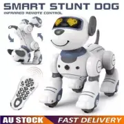 NEW Kids Smart Dancing Stunt Intelligent Robot Dog Remote Control Toy Gift AU
