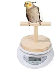 Rissunkv Digital Bird Scale | Parrot Training Pet Bird Scale,High Accuracy, Convenient Digital Weighing Tool for Weight Changing Monitoring
