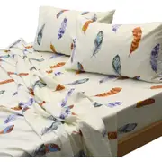 Feather Multicolor Bed Sheet Set 4 Piece 620 TC