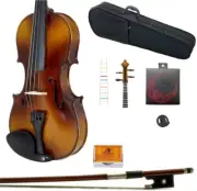 Solid Wood Student Violin Start Kit with Case, Bow, Rosin, String, Mute and Fing