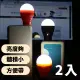 【居家照明】USB燈泡造型LED燈2入(白光 桌燈 夜燈 床頭燈 造型燈 燈飾 露營 讀書 照明)