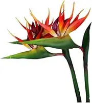 ACEmedia Large Bird of Paradise 32 Inch Permanent Flower,Flower Stem 0.5 Inch,UV Resistant No Fade Flower Part is Made of Soft Rubber PU,Artificial Flower Plants for Home Office 2 Pcs (Orange red)