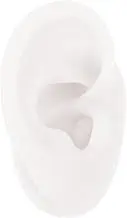 LIFKOME Ear Model Silicone Practice Tool for Piercing Realistic Jewelry Display for Teaching Human Ear Structure Fine Workmanship Durable Design for Various Applications
