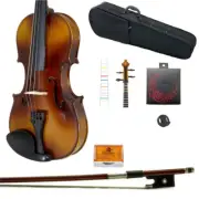 Paititi 4/4 Solid Wood Student Violin w Case/Bow/Rosin/String/Fingerchart/Mute