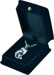 Silver Dolphin Pendant Urn w/20" chain & black velvet display box