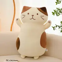 在飛比找松果購物優惠-超可愛奶酪貓咪柔軟抱枕(60cm) 貓公仔 沙發抱枕 靠墊 