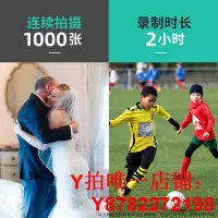 在飛比找Yahoo!奇摩拍賣優惠-品勝適用于FV50/70/90 FH70攝像機FDR-AX1