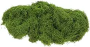 100g Artificial Moss Mat Realistic Simulation Plant Decoration for Bonsai Centerpiece Table Outdoor Indoor Garden