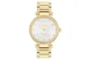 Coach Cary Gold Steel with Crystals Silver Dial Women's Watch - 14503832