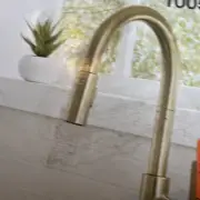 Glacier Bay Paulina Single-Handle Pull-Down Sprayer Kitchen Faucet - Gold