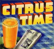 Lindsay Citrus Time Orange Fruit Crate Label Art Print