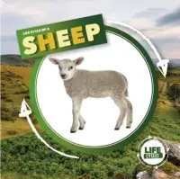 在飛比找博客來優惠-Life Cycle of a Sheep