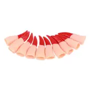 10 Pcs Zombie Fingers Toy Vampire Costume Witch Decor Outfit Decorate