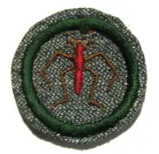 NEW! Girl Scout 1938 FRESH WATER LIFE FINDER BADGE Entomology Insect Bug Patch