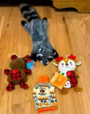 NWT Vibrant Life Dog Toys. Tail-Wagging Treasures Your Dog will Love!