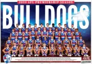 2023 WESTERN BULLDOGS TEAM POSTER,AFL FOOTBALL CATS TIGERS DEMONS pies,dockers 1