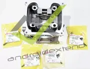 SYM RV250 VOYAGER (GTS250) CYLINDER HEAD + VALVES KIT