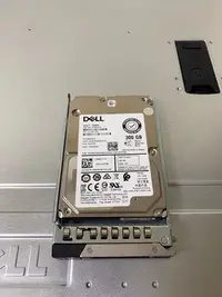 在飛比找Yahoo!奇摩拍賣優惠-Dell 300GB 15K RPM SAS ISE 2.5