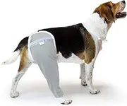 After Surgery Wear Hip and Thigh Wound Protective Sleeve for Dogs. Dog Recovery Sleeve. Recommended by Vets Worldwide (XX-Large, Gray)