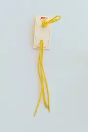Foxy Fellow Limoncello Shoe Laces