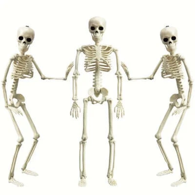 NNETM Set 3pcs 40.64cm Posable Halloween Skeleton Decorations Haunted Houses, Gr