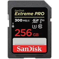 在飛比找PChome24h購物優惠-SanDisk 256GB SDXC【300MB/s】Ext