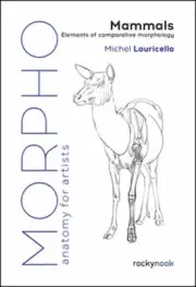 Morpho: Mammals: Elements of Comparative Morphology by Michel Lauricella (Englis