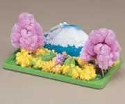 Schylling - Magic Crystal Garden Growing Set