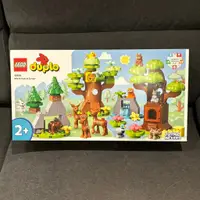 在飛比找蝦皮購物優惠-(bear)正版現貨 樂高 LEGO 10979 DUPLO