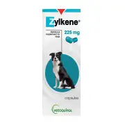 Zylkene Nutritional Supplement For Dogs 225 Mg 60 Capsules