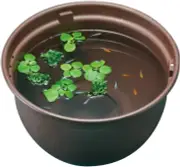 GEX Medaka Genki Breeding Pot for Medaka Tea 370 From Japan Y/N 2021.4.17