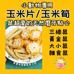 愛鼠協會[新鮮手工現烘]鼠寶向前衝鼠食工坊 玉米乾 玉米切片 玉米片 玉米筍 玉米筍乾 分裝包 倉鼠 黃金鼠 磨牙 點心