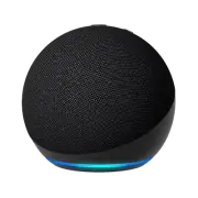 Amazon Charcoal 5th Gen Echo Dot
