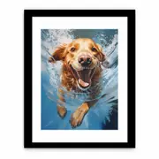 Dog Swimming Modern Framed print Art Poster