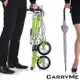 CarryMe SD 8吋充氣胎版 單速鋁合金折疊車-綠茶菁
