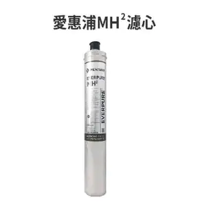 EVERPURE愛惠浦【公司貨】咖啡機專用MH2濾心【 9000加侖】