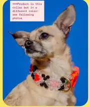 Susan Alexandra Beaded Dog Cat Collar Size XS Quirky Cute