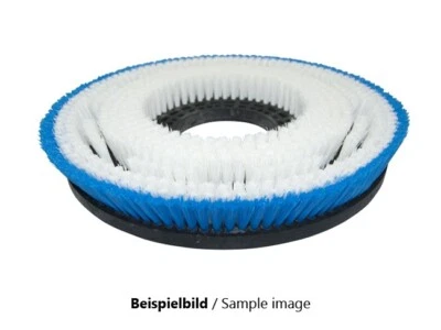 Scrubbing Brush - Wash Concrete - Prolite Henkel Floormatic Md 450 - Poly 0,45