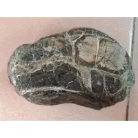 在飛比找蝦皮購物優惠-早期收藏雅石 風景石 龜甲石(乾拍)