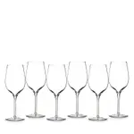 Waterford Elegance Wine Tasting Party Tasting Glass, Set of 6