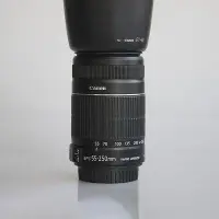 在飛比找Yahoo!奇摩拍賣優惠-Canon/佳能 EF-S 55-250 mm IS STM