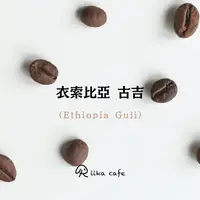 在飛比找樂天市場購物網優惠-Riika cafe 衣索比亞 古吉 淺焙咖啡豆 半磅227