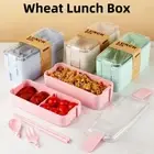 Microwave Bento Box Wheat Straw Lunch Containers New Lunch Box
