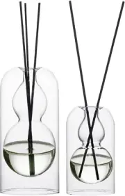 Empty Glass Fragrance Reed Diffuser Bottles,For Essential Oil, with 16Pcs Bla...