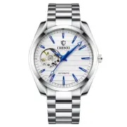 CHENXI Men Mechanical Watches Automatic Silver Watches Male Business Wristwatch