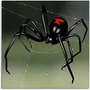 Black Widow Spider Canvas Prints Wall Art Paintings Wall Artworks Pictures for Living Room Bedroom Decoration, 12x12 Inch Home Bathroom Wall Decor Posters