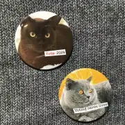 2 One of a Kind Vote Button 2024 Democracy Political Politics Cat Art Collage